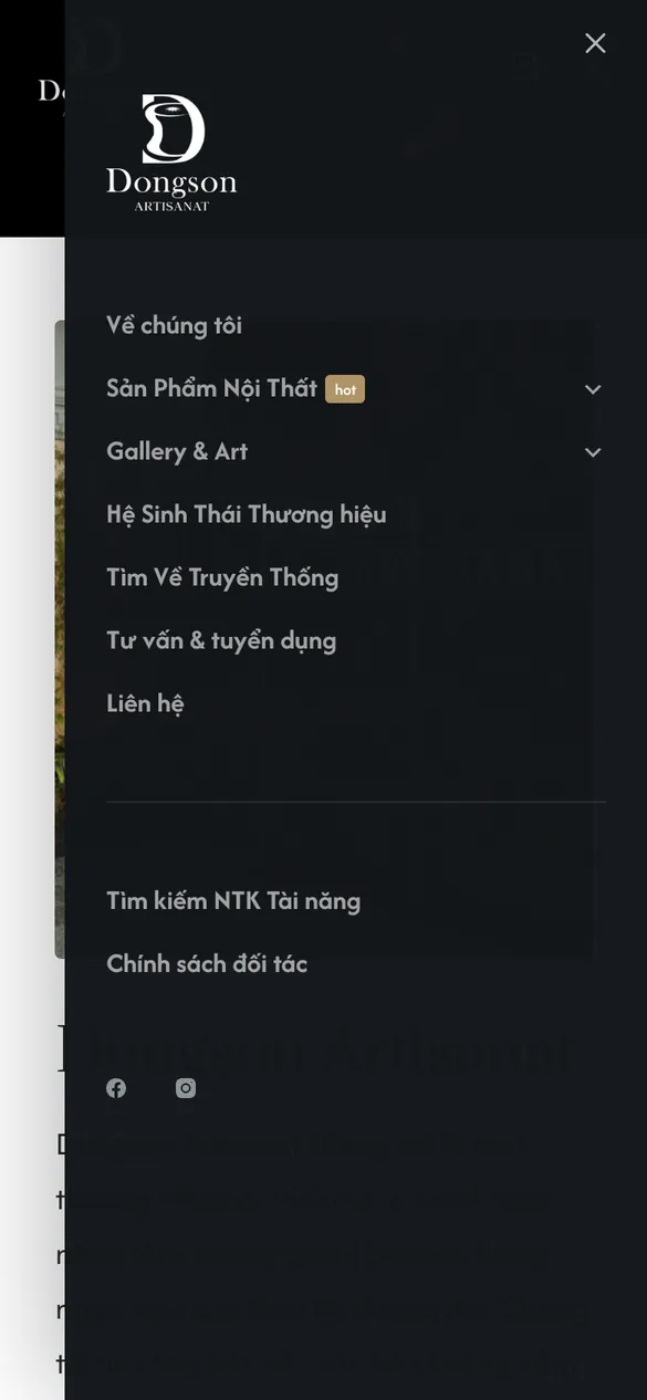 Mobile menu on a phone