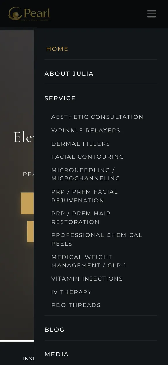 Mobile menu on a phone