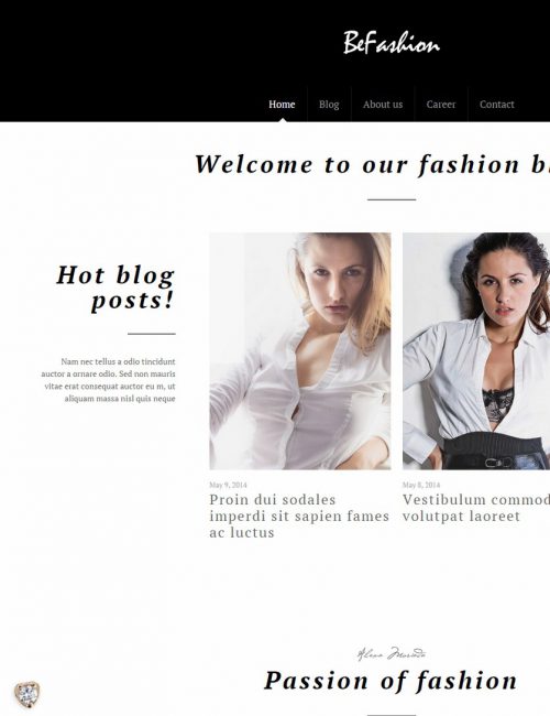 Mẫu website blog - tin tức - Fashion