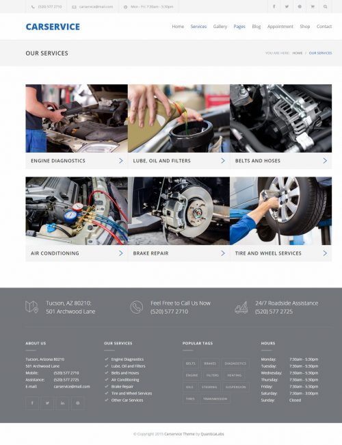 Mẫu Website giới thiệu doanh nghiệp Car Service - 2274