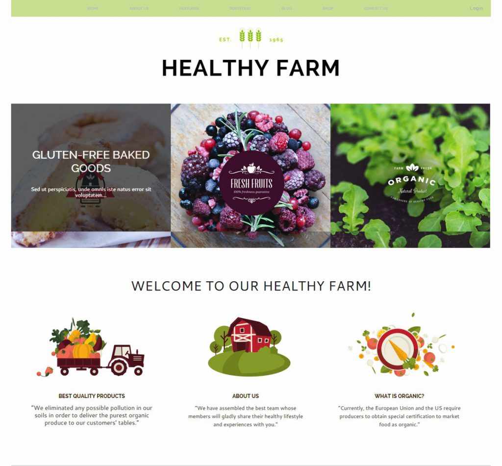 MẪU WEBSITE BÁN HÀNG – HEALTHY FARM