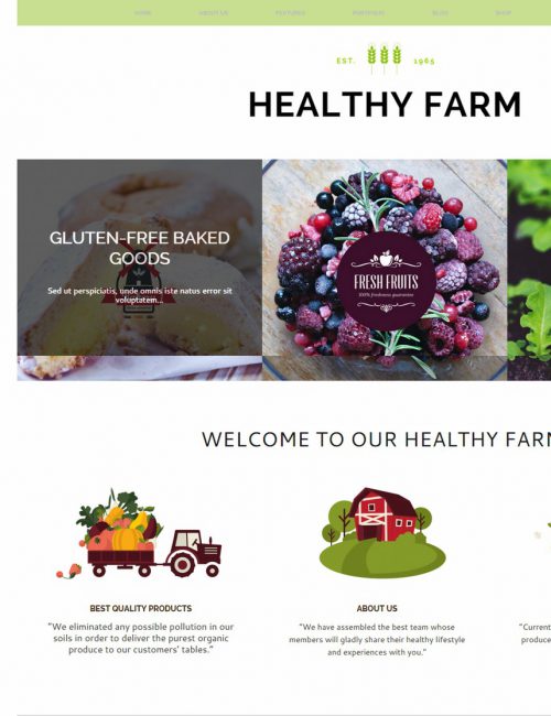 MẪU WEBSITE BÁN HÀNG - HEALTHY FARM