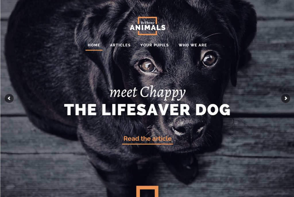 Mẫu website MẪU WEBSITE ANIMAL