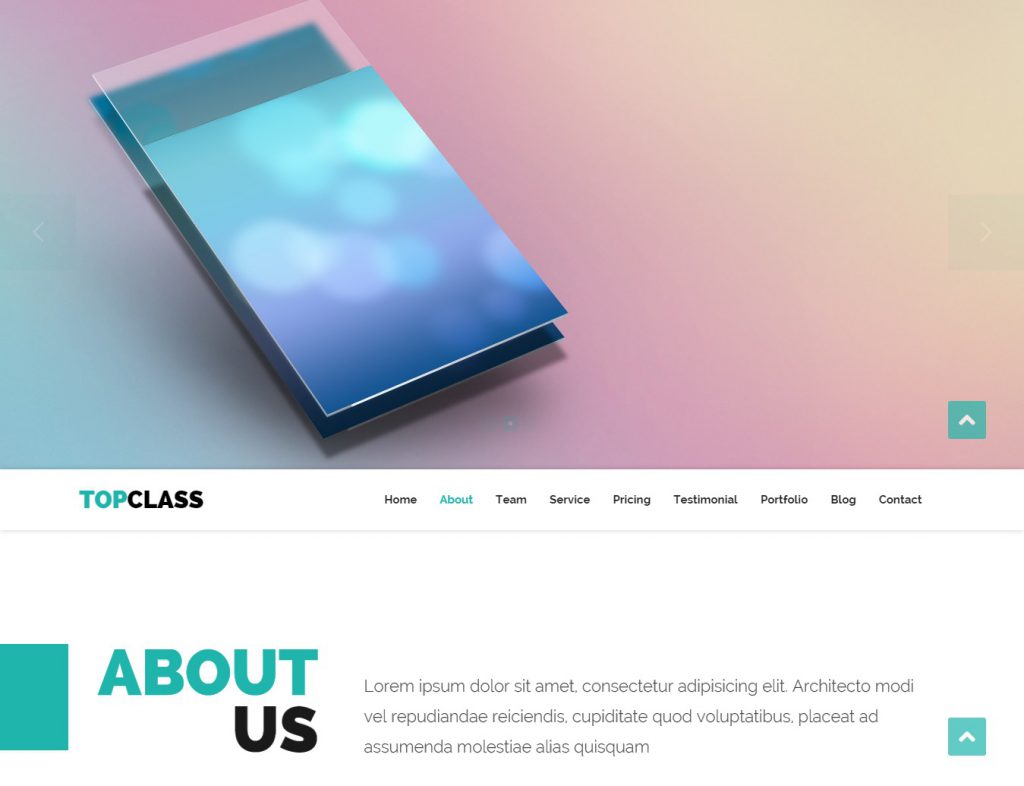 Mẫu website MẪU WEBSITE LANDING PAGE – TOP CLASS