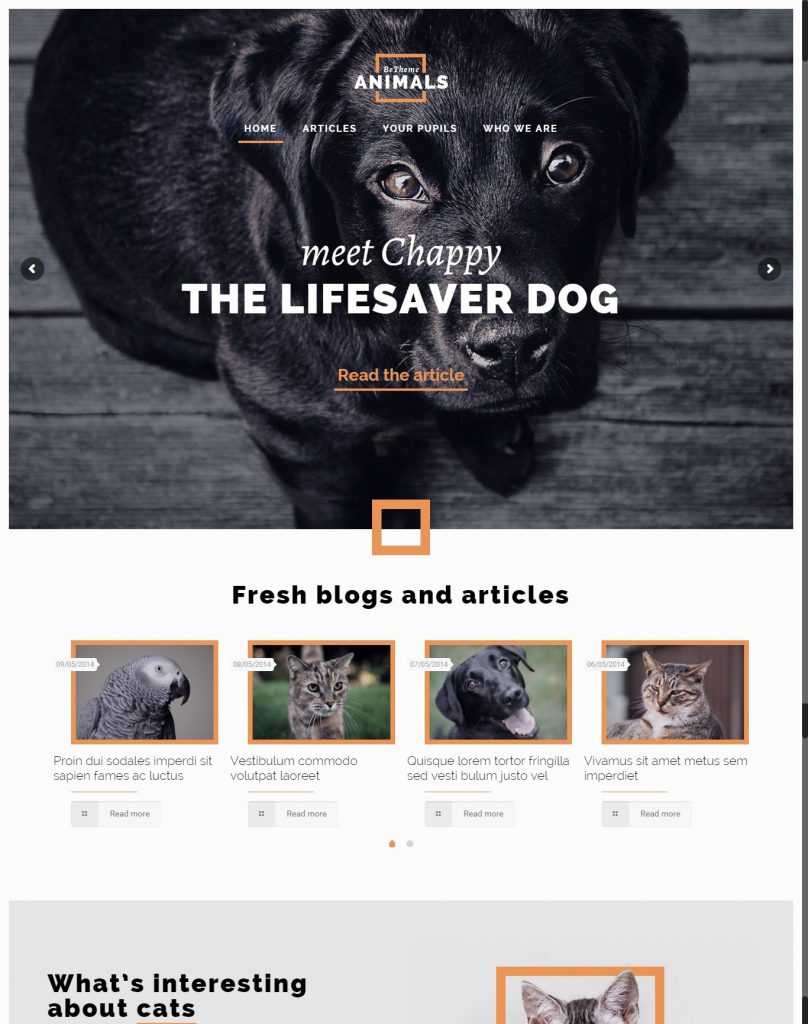 Mẫu website MẪU WEBSITE GIỚI THIỆU DOANH NGHIỆP ANIMALS – 4436