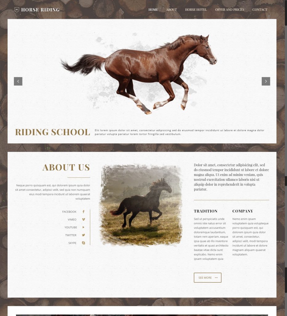 Mẫu website MẪU WEBSITE GIỚI THIỆU DOANH NGHIỆP HORSE RIDING – 4484