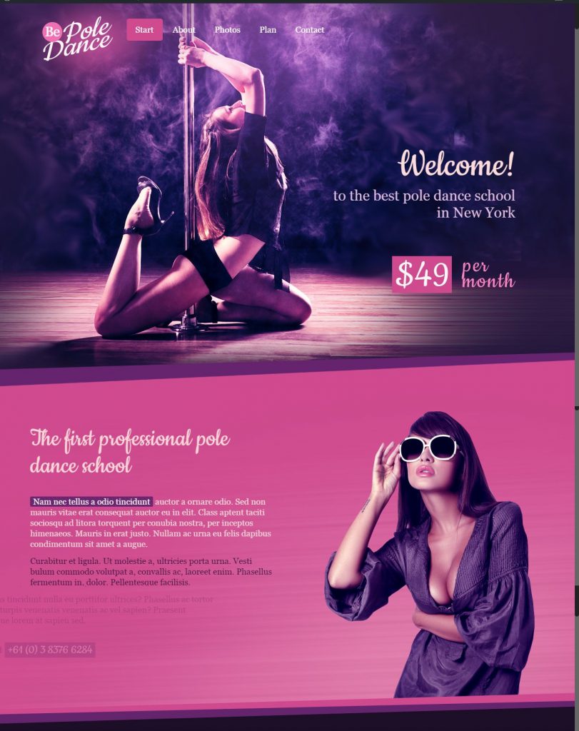 Mẫu website MẪU WEBSITE LANDING PAGE POLE – 4845