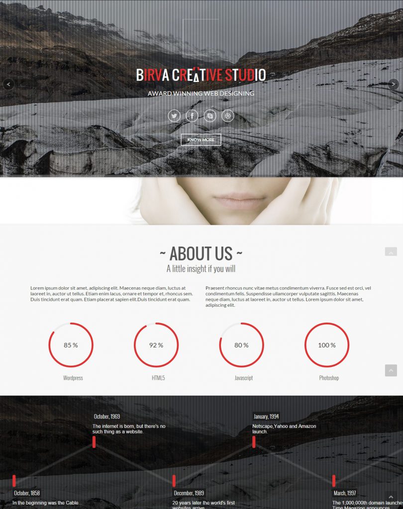 Mẫu website MẪU WEBSITE LANDING PAGE – BIRVA