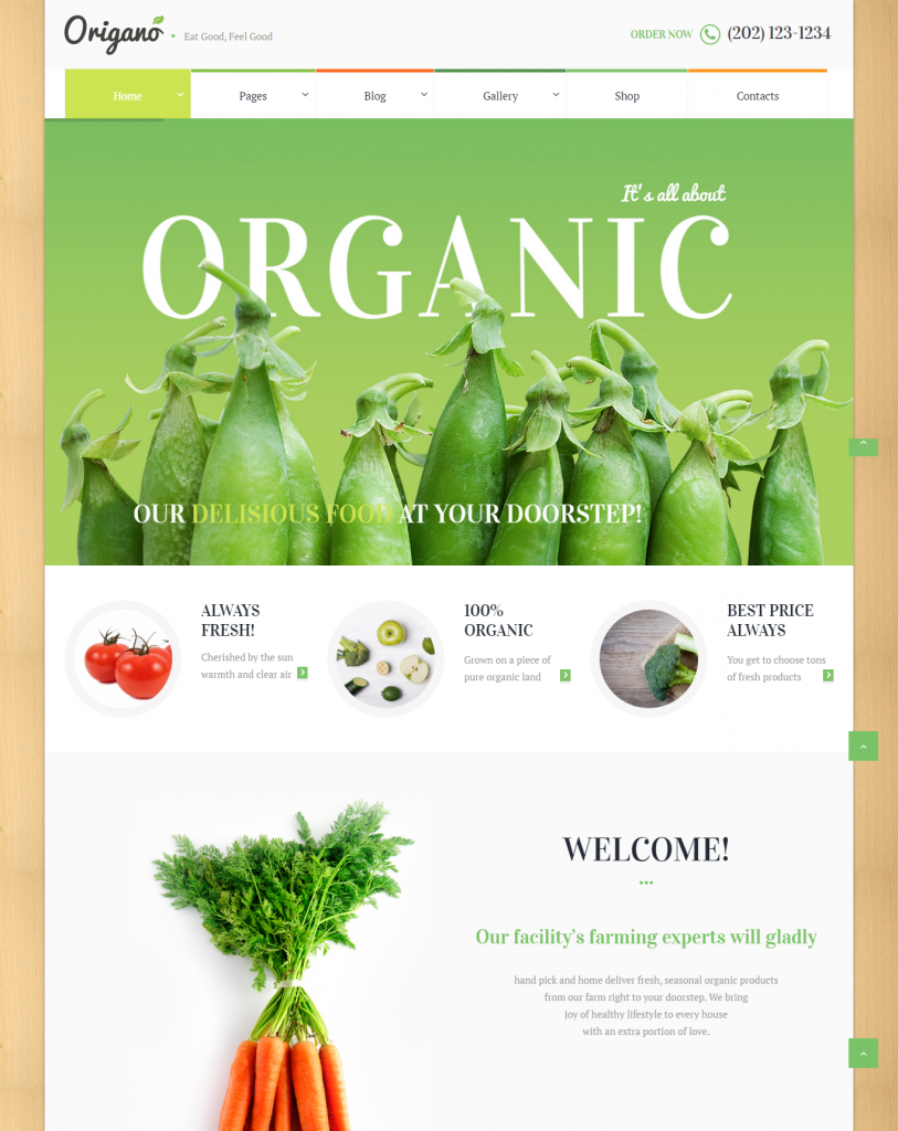 E-Commerce Website Template – Origano