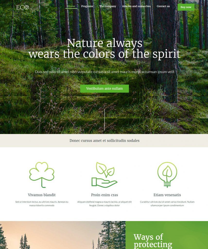 Mẫu website MẪU WEBSITE NÔNG NGHIỆP – ECO
