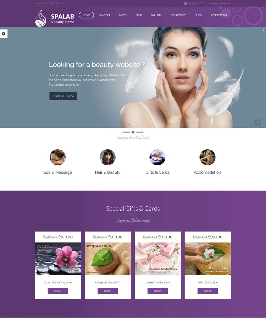 MẪU WEBSITE SPA – SPALAB