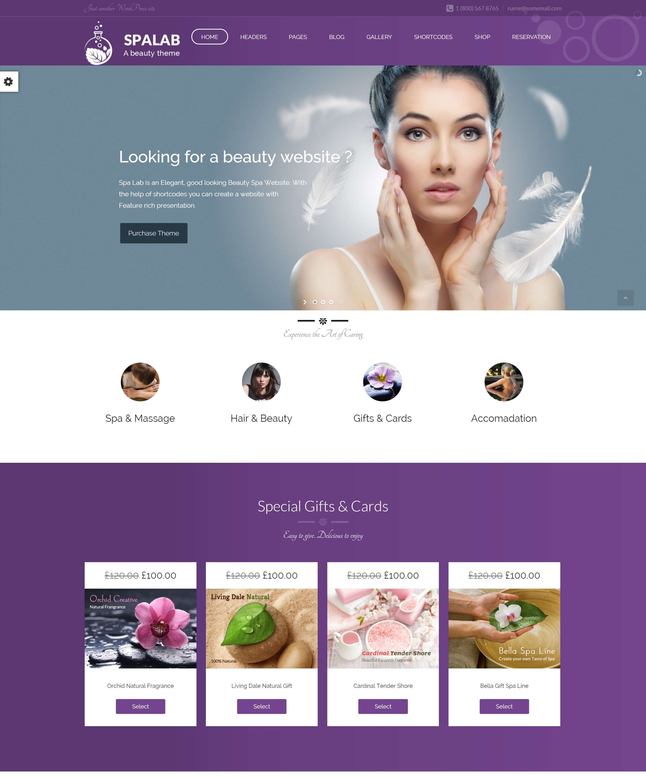 MẪU WEBSITE SPA – SPALAB