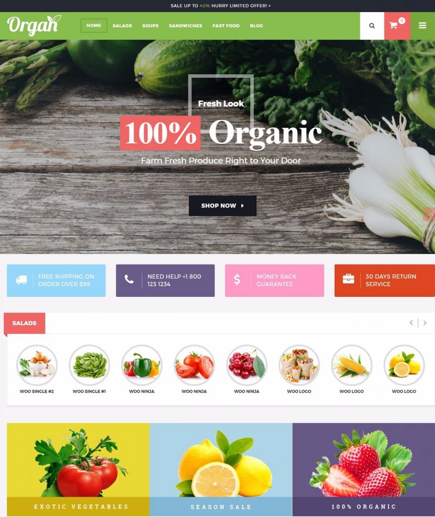 Mẫu website MẪU WEBSITE-  NÔNG NGHIỆP – Organ