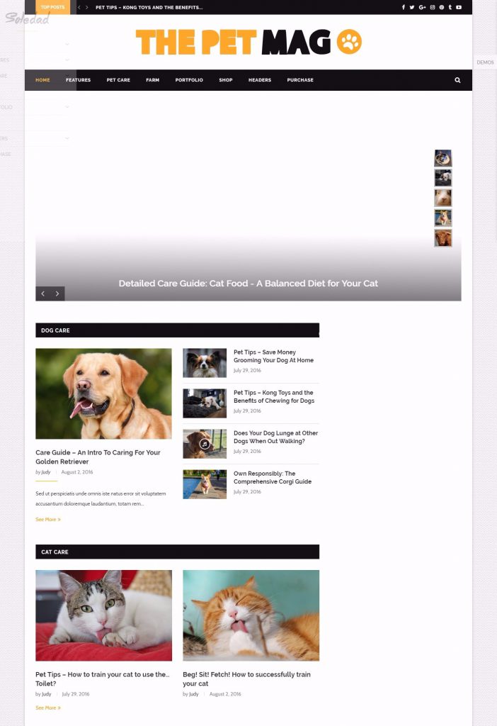 Mẫu website Thú cưng – The Pet – Mago