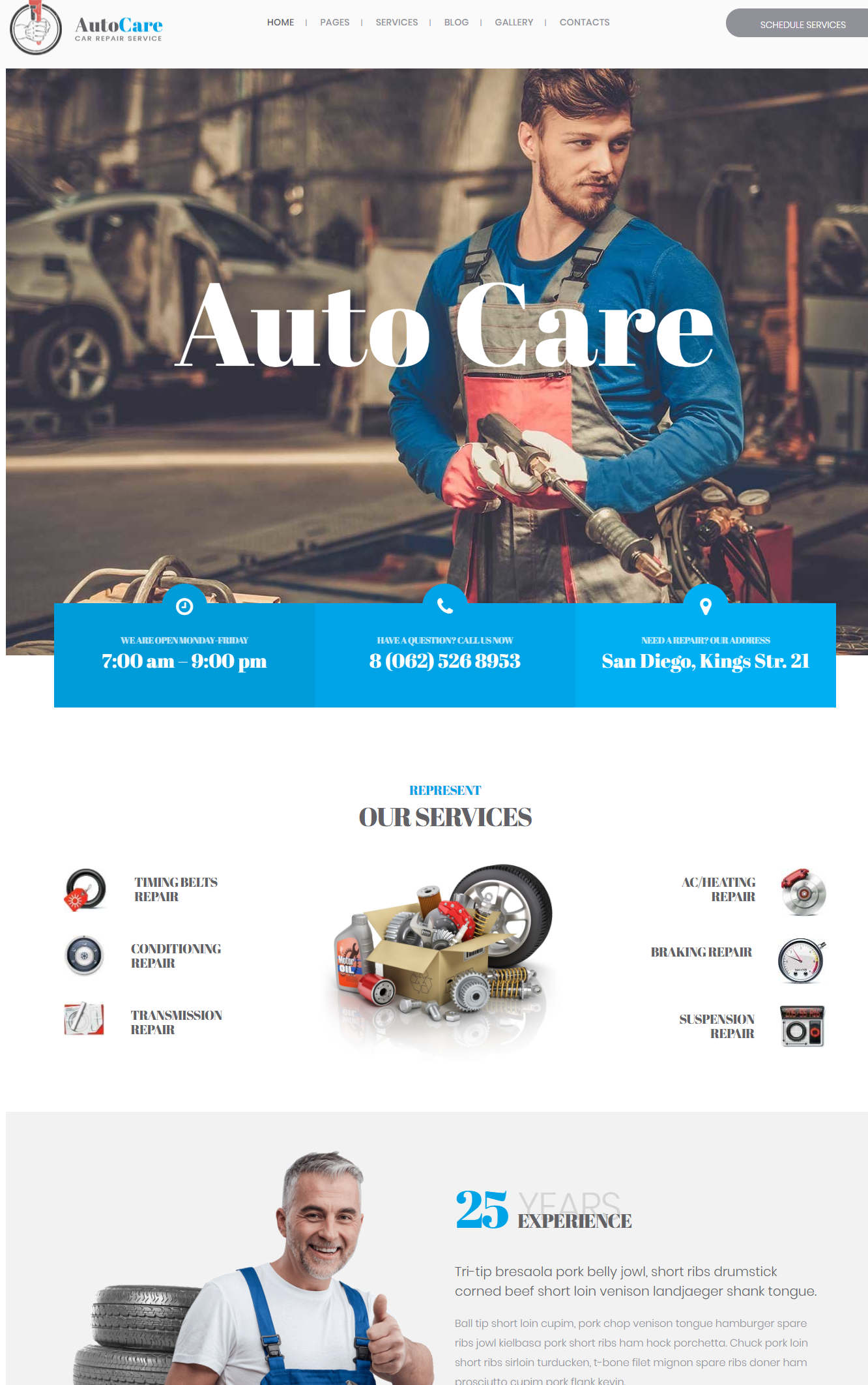 Mẫu website bán hàng phụ tùng ô tô -AUTOCARE