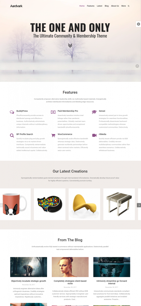 Mẫu website MẪU WEBSITE GIỚI THIỆU CÔNG TY – AARDVARK – FULL PAGE