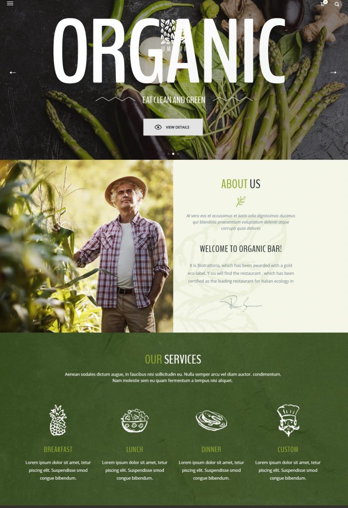 Mẫu Website PICANTE