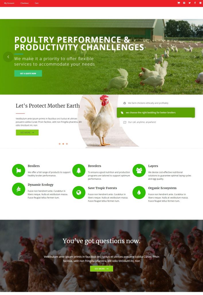 Mẫu website MẪU WEBSITE-  NÔNG NGHIỆP – POULTRY FARM