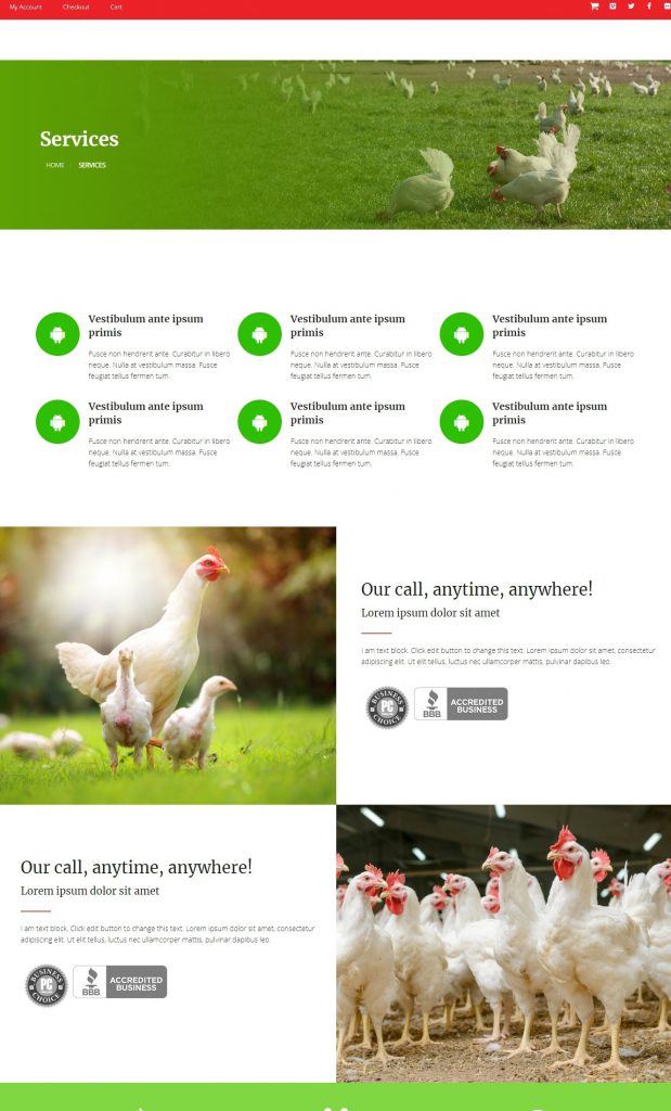 Mẫu website MẪU WEBSITE-  NÔNG NGHIỆP – POULTRY