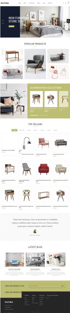 Mẫu Website Bán Hàng Nội Thất – Payna