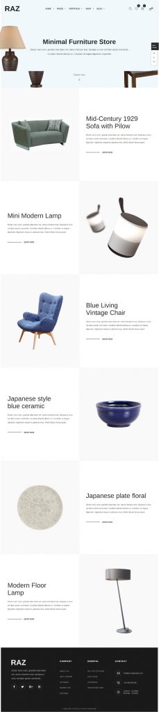 Mẫu Website Bán Hàng Nội Thất – Raz 4