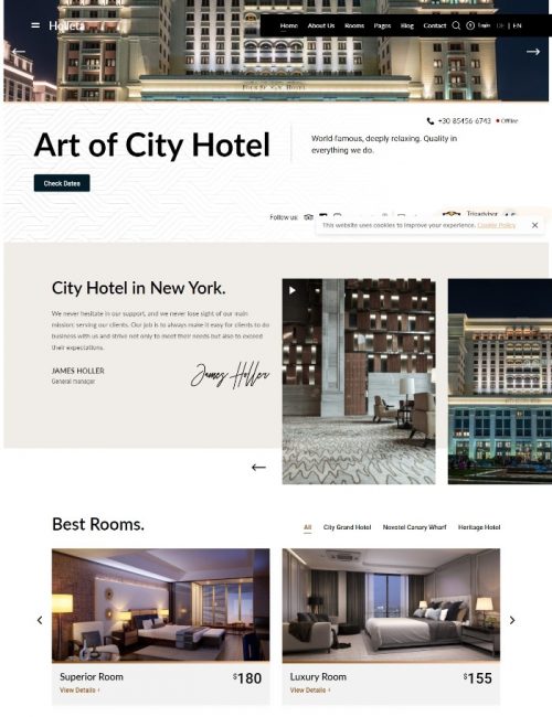 Mẫu Website Khách Sạn - Holleta Hotel