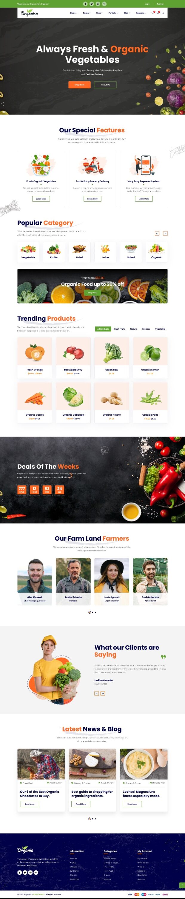 Mẫu website Website Bán Hàng Thực Phẩm Nông Nghiệp Organico Home 2
