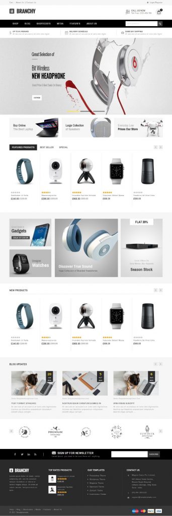Mẫu Website Bán Hàng Công Nghệ – Branchy Home 2