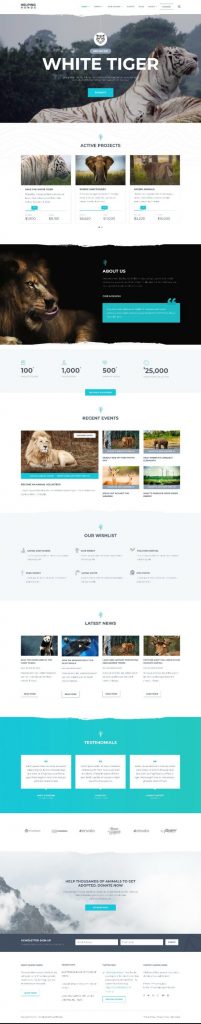 Mẫu Website Giới Thiệu Công Ty Môi Trường Helping Hands