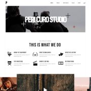 Mẫu website dịch vụ giải trí - pelicula video production studio