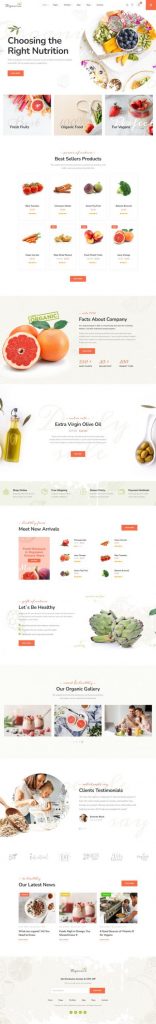 Mẫu website bán hàng thực phẩm – orfanium home 1