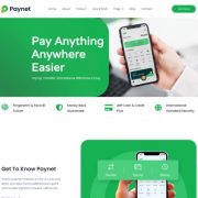 Mẫu website dịch vụ tín dụng - Paynet