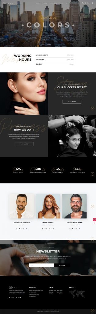 Mẫu website salon hair – curly home 2
