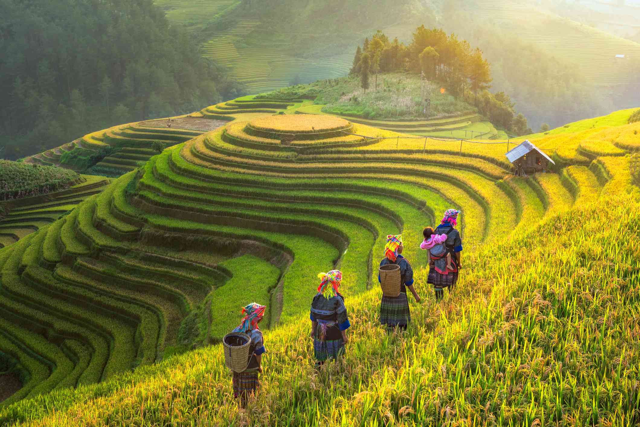 Website Welcome Vietnam (T&T Media Tourism)