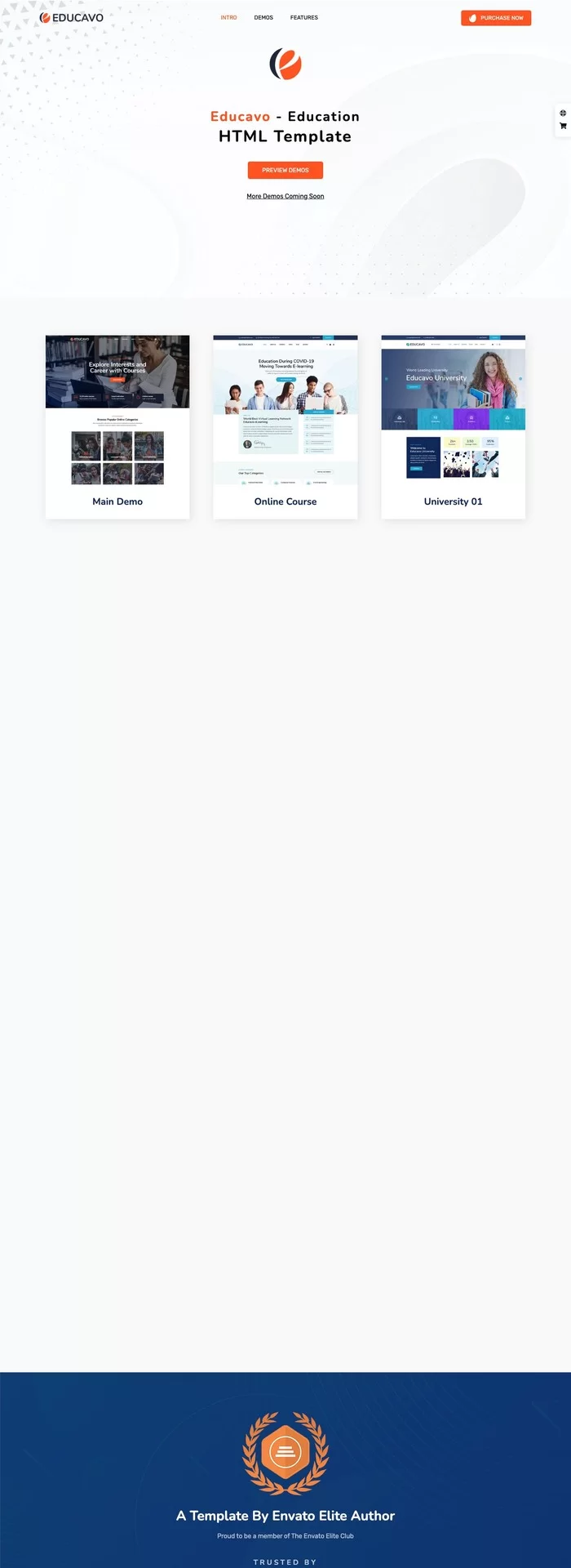 Mẫu website giáo dục – Educavo
