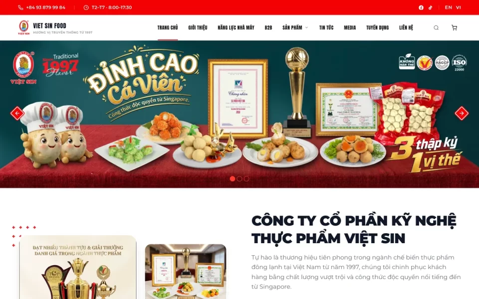 Viet Sin website