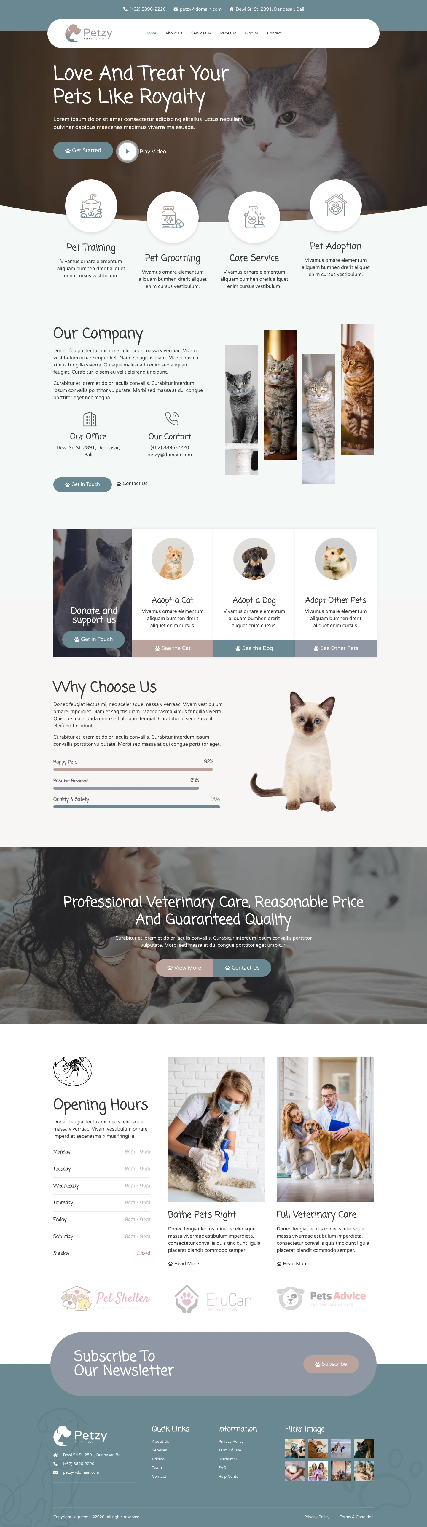 Mẫu website phòng khám thú y – Petzy