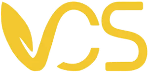 Logo Học viện Concepts (VCS)