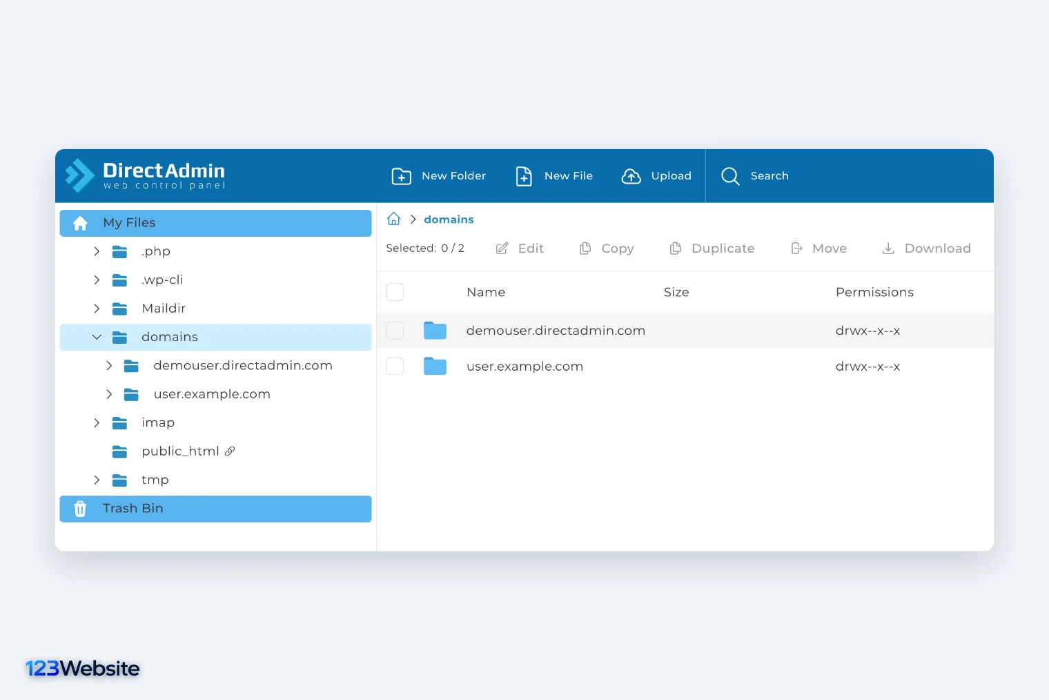 Trình quản lý tệp của DirectAdmin với thư mục domains và public_html chứa mã nguồn website