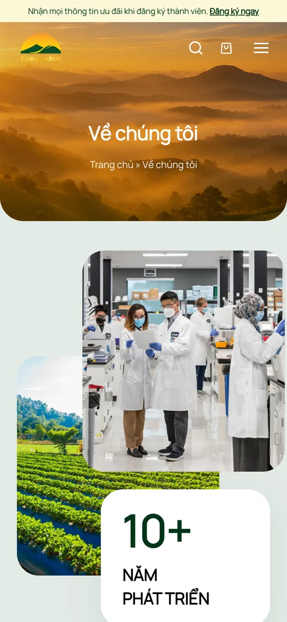 Website Kigen Tảo Xoắn - Giới thiệu trên điện thoại