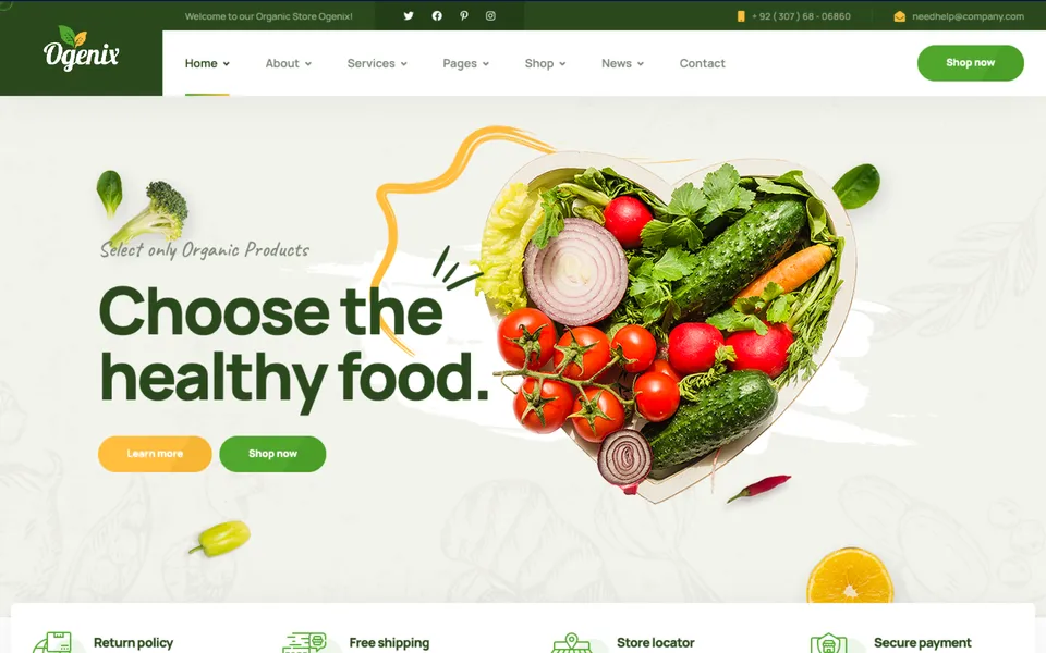 Giao diện mẫu Ogenix tại 123Website