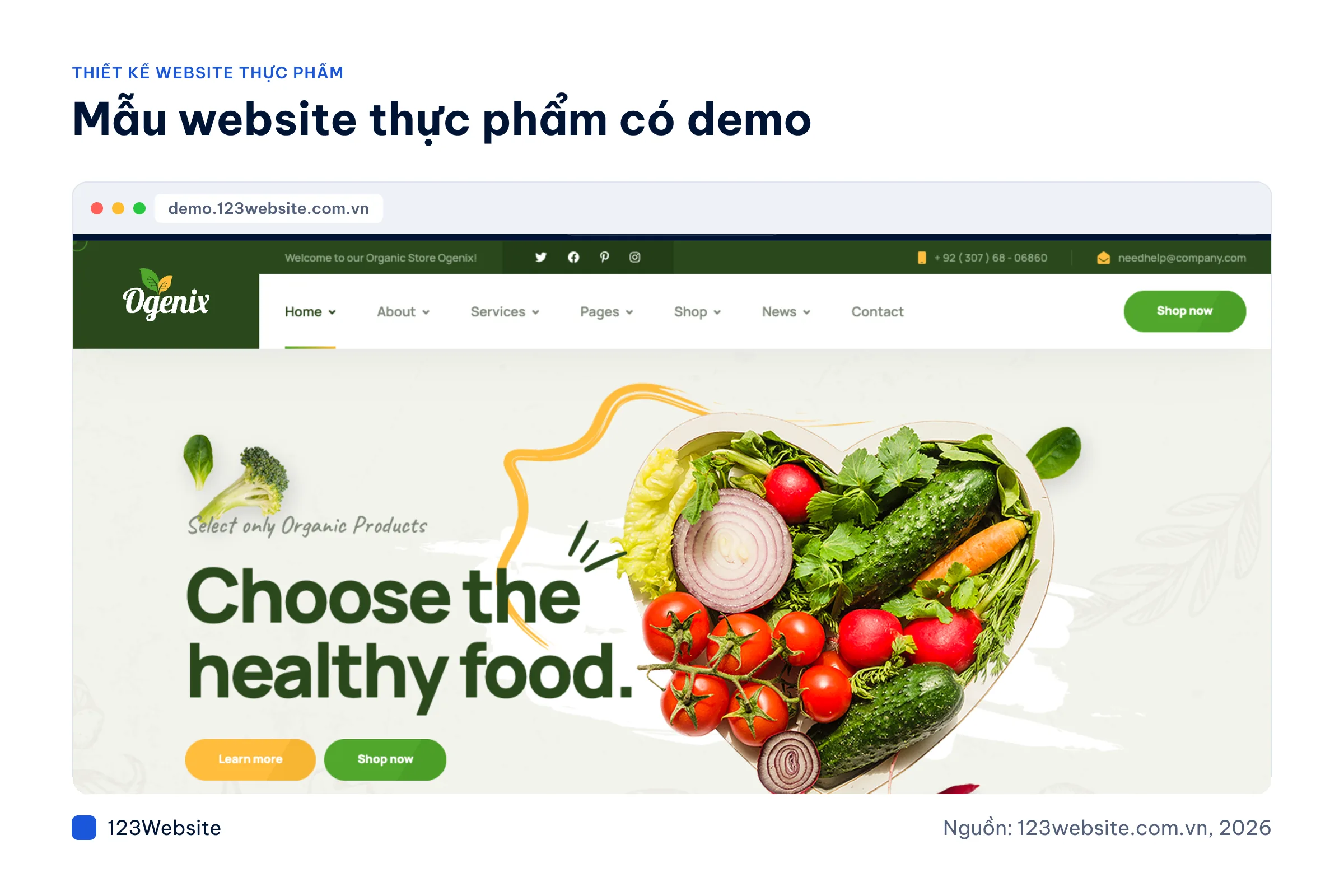 Ảnh chụp mẫu website thực phẩm Ogenix tại 123Website