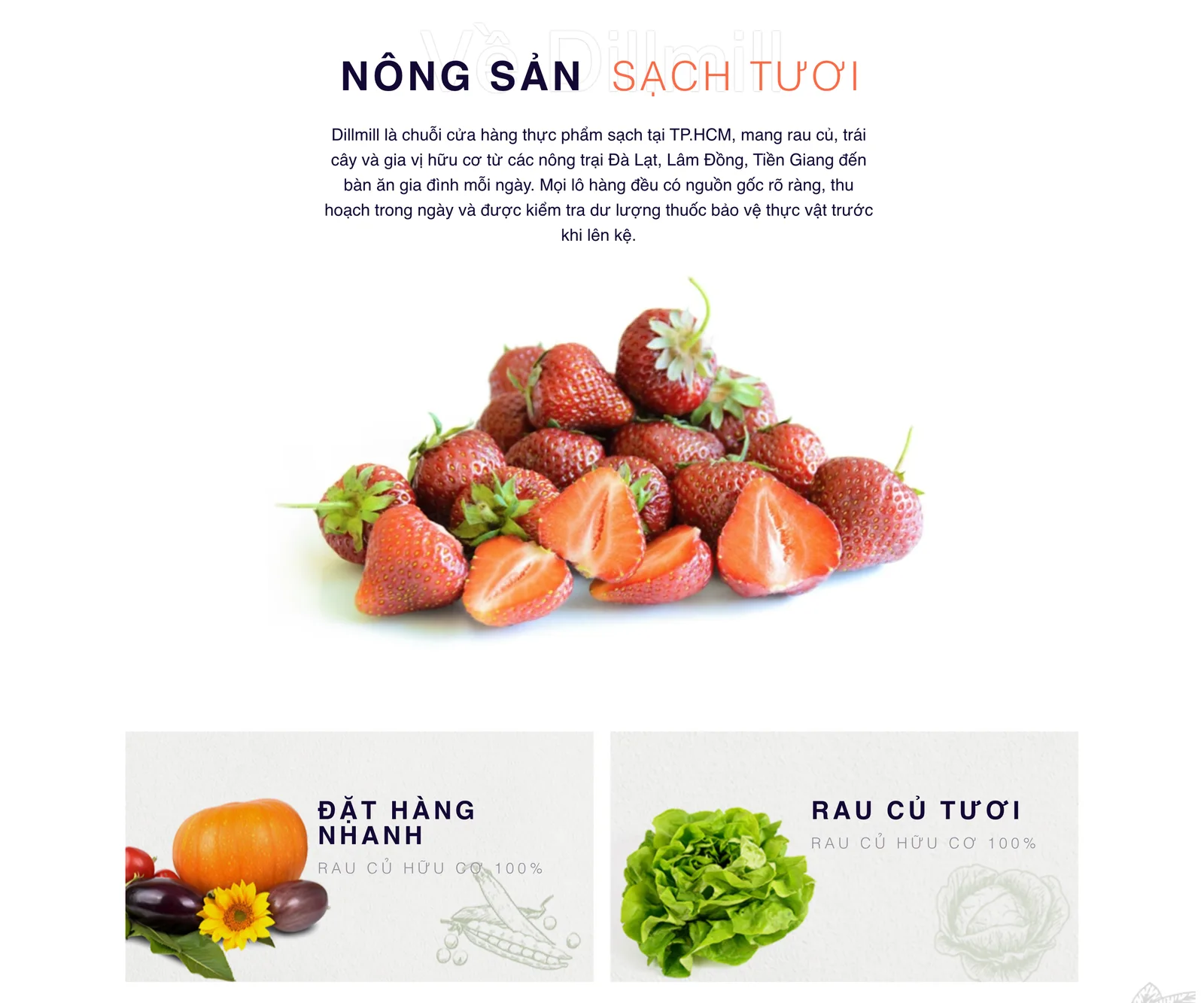 Khối giới thiệu nguồn gốc nông sản trên mẫu website thực phẩm Dillmill