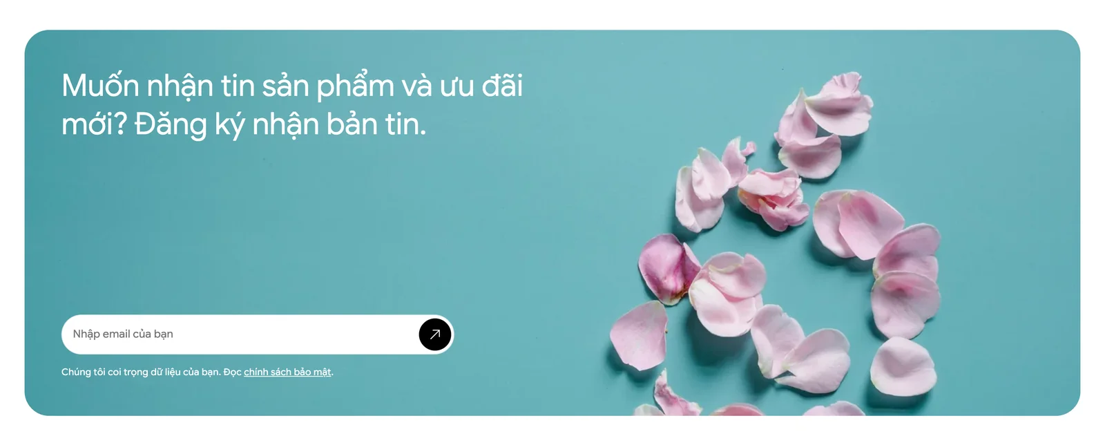 Khối đăng ký nhận ưu đãi trên mẫu website thương mại điện tử Ciseco