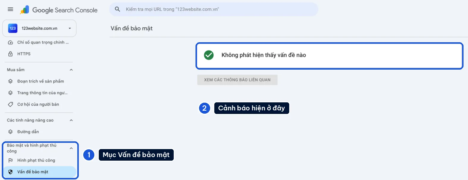 Báo cáo Vấn đề bảo mật trong Google Search Console