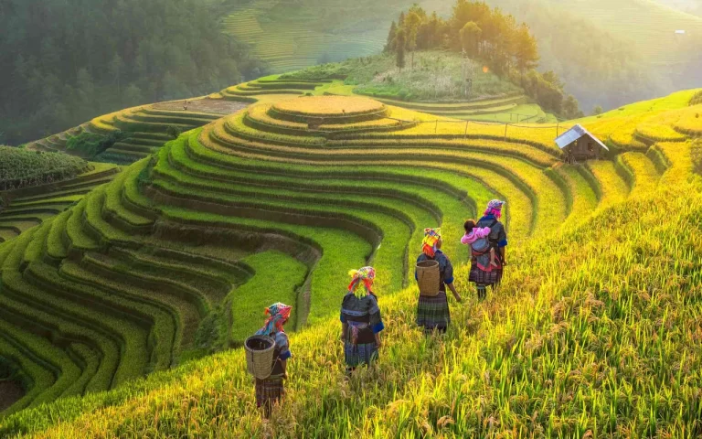 Website Welcome Vietnam (T&T Media Tourism)